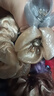 Royal sasa皇家莎莎發(fā)圈頭飾水鉆頭繩成人優(yōu)雅淑女丸子頭盤發(fā)大腸圈發(fā)繩頭花 紫色VI 曬單實拍圖