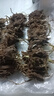 【現(xiàn)挖】紫色新韭菜根小葉特香盆栽庭院栽種綠植紫根紅根本地苗窄 【精挑新顆】100顆 曬單實拍圖
