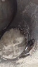 揚(yáng)子（YANGZI）高壓管道疏通機(jī) 下水管道高壓清洗機(jī) 物業(yè)小區(qū)大功率疏通機(jī)市政管道水老鼠管道疏通 【220V】3KW 200bar 25L水流 曬單實拍圖