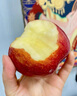 阿克蘇蘋果;AKSU；AKESU APPLE正宗阿克蘇魯麗嘎啦蘋果【順豐】紅旗坡新鮮時令紅富士蘋果園直發(fā) 新疆嘎啦小蘋果5斤【70-75mm】 曬單實拍圖