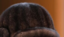 幕加格水貂毛皮草帽子男士冬季保暖護耳貂帽時(shí)尚中老年人爸爸?zhù)喩嗝?358 咖啡色 均碼 單頂帽子 曬單實(shí)拍圖