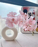 創(chuàng)京懿選蝴蝶蘭仿真花客廳玄關(guān)裝飾品假花擺設(shè)高端餐桌花卉輕奢花藝擺件 粉色9頭壓紋蝴蝶蘭+陶瓷甜甜圈花 曬單實拍圖