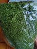 私人草坪苔蘚微景觀室內(nèi)辦公室桌面綠植盆栽解壓盆栽創(chuàng)意種植物 迷你私人草場 曬單實(shí)拍圖