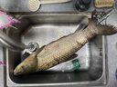 達瓦狼牙高碳纖維臺釣竿7.2米長(cháng)竿綜合手竿黑坑鯉魚(yú)鯽魚(yú)鰱鳙竿 7.2m 8H大物超硬19調 曬單實(shí)拍圖