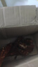 植宴減代餐主食脂風干雞肉干輕食雞肉干麻辣雞胸肉干增肌碳水食品即食 (嘗鮮裝)風乾雞肉乾香辣味100g( 曬單實拍圖