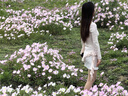 小野七天純欲風(fēng)甜美吊帶裙女春夏修身顯瘦蕾絲碎花連衣裙+罩衫上衣兩件套 粉色 S （80-95斤） 曬單實(shí)拍圖