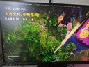 技嘉R7 7800X3D 9800X3D主機RTX5070/Ti/RTX5080/5090D顯卡電競游戲直播設(shè)計渲染視頻剪輯臺式電腦主機 配置四：R7 9800X3D丨RTX5070Ti 曬單實拍圖