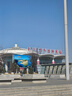 NIKE 耐克男女童鞋空軍一號(hào)休閑板鞋AIR FORCE 1內(nèi)嵌氣墊緩震運(yùn)動(dòng)鞋 曬單實(shí)拍圖