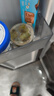 洋琪 麻辣鮮蛤芥末章魚麻辣花甲海鮮 即食下飯菜 燒烤出游踏青 芥末章魚500g 曬單實拍圖