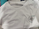 七匹狼100%棉男士長(cháng)袖t恤男圓領(lǐng)純棉狼頭印花運動(dòng)衫純色打底衫文化衫 白色指南針狼(領(lǐng)頭狼) L (170) (建議100-120斤) 曬單實(shí)拍圖