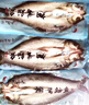 源頭地丹江口翹嘴鲌魚(yú)新鮮生態(tài)淡水十堰大白刁子魚(yú)白魚(yú)整條送禮湖北特產(chǎn) 6斤/裝（4-6條） 3kg 曬單實(shí)拍圖