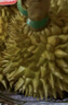 金尼堯紅肉榴蓮D101馬來(lái)西亞液氮冷凍水果 2.5-3.0斤【巴掌果 包4房】 曬單實(shí)拍圖