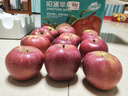 【鹽源蘋(píng)果館】大涼山丑蘋(píng)果鹽源蘋(píng)果糖心蘋(píng)果2025新鮮采摘 狠推薦-凈重8斤霸王果（90mm+ 曬單實(shí)拍圖