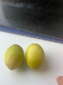 夢(mèng)茜兒 MEXEMINA現貨 蘋(píng)果棗版納 新鮮5斤云南現摘純甜大牛奶青棗貴妃整箱時(shí)令 3斤 大果【70g以上】青棗 曬單實(shí)拍圖