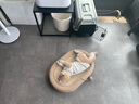 華夫格小熊背心小狗狗寵物衣服薄款夏裝泰迪比熊中小型犬秋天春款 貓咪衣服-乳白色 L碼 曬單實(shí)拍圖