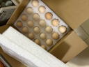 1號會(huì )員店體驗卡送【無(wú)抗鮮雞蛋40枚 45g+/枚 1.8kg】下載1號會(huì )員店領(lǐng)雞蛋 曬單實(shí)拍圖