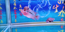 羅漢魚(yú)成魚(yú)亞成泰國爆頭鴻運金花觀(guān)賞魚(yú)進(jìn)口熱帶魚(yú)招財火鳳凰起頭 【鴻運羅漢魚(yú)】已起頭 14-16cm【品質(zhì)保障】 曬單實(shí)拍圖