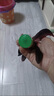 塞浦勒毽子兒童小學(xué)生比賽專用羽毛耐踢毛毽球老式鍵大人運(yùn)動(dòng)腱雞毛毽子 (1個(gè)裝)大公雞毛毽子比賽專用 曬單實(shí)拍圖