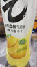 100只老鼠捉迷藏(中國環(huán)境標志產(chǎn)品 綠色印刷) 曬單實(shí)拍圖
