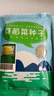 壽禾自動(dòng)發(fā)芽機綠豆黃豆春冬季播種陽(yáng)臺罐專(zhuān)用家庭種植發(fā)豆芽苗菜種子 綠豆芽種子【豆芽用】300g 曬單實(shí)拍圖