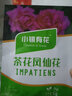 小鎮(zhèn)有花鳳花仙花籽染指甲草花太陽花百日草格?；ǚN子綠植花卉 鳳仙花種子混色5克 1 袋（試種） 曬單實拍圖