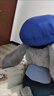 梨薩鴨瘋狂動物城玩偶朱迪可愛生日禮物瘋狂動物尼克朱迪公仔毛絨狐貍 朱迪警官兔子【30厘米】 默認 曬單實拍圖