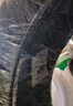 米其林輪胎 Michelin ENERGY XM2+ 韌悅 195/60R15 88V 吉利遠(yuǎn)景 曬單實(shí)拍圖