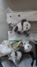赟婭熊貓擺件工藝品玄關(guān)鑰匙收納新家居可愛裝飾布置喬遷之喜搬家禮物 步步高升熊貓組合+托盤收納+竹子 曬單實(shí)拍圖