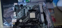 華碩（ASUS）PRIME A520M-K主板大師/哎呦喂AYW/重炮手TUF支持AMD銳龍?zhí)幚砥鱀DR4 家用辦公臺式機主板 大師小板 A520M-K D4 曬單實拍圖