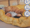 北山狼  雙人睡袋四季加厚便攜成人睡袋戶(hù)外露營(yíng)防寒可拆分睡袋 4.2kg秋意黃 曬單實(shí)拍圖