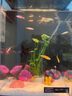 異景園小米二代魚(yú)缸造景裝飾擺件溪流缸南美風(fēng)卡通珊瑚造景石全套 套景A07 無(wú)規格 曬單實(shí)拍圖