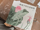 一顆蓮子的生命旅程 原創(chuàng  )植物科普繪本，以國畫(huà)繪出蓮的生命輪回 國風(fēng)情懷 中國傳統 自然之美 5-10歲浪花朵朵暑假作業(yè) 一升二暑假銜接 小升初暑假銜接 曬單實(shí)拍圖