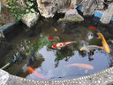 格池（GRECH） 變頻水泵魚池循環(huán)水泵潛水泵家用水陸兩用假山水泵抽水泵節(jié)能 140W變頻防堵泵/16000流量/7.5米揚(yáng)程 曬單實(shí)拍圖
