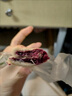 減肥食品0脂肪0卡零食紫薯芋泥餅飽腹低0零食早餐脂卡熱量無蔗糖 營養(yǎng)早餐/獨立包裝/個大餡足/現(xiàn)做 手工袋紫薯芋泥餅【1斤裝】手工袋紫薯芋泥餅 曬單實拍圖