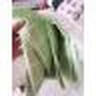 寬綿餐桌布防水防燙防油免洗塑料桌布格子臺(tái)布茶幾布PEVA蓋布桌墊 綠色格子137x91cm 曬單實(shí)拍圖