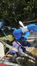 ISW臥式自吸管道離心泵冷熱水380V工業(yè)循環(huán)增壓泵高揚程大流量 100-125A-7.5/89方16米/國標純銅 曬單實(shí)拍圖