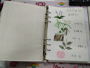 貓印堂活頁(yè)手帳本文藝A5A記手賬可愛(ài)筆記本可拆記事本子 A5-空白頁(yè)(加厚90張/180頁(yè)) 木槿 曬單實(shí)拍圖