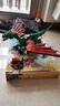 樂(lè )高（LEGO）積木玩具 創(chuàng  )意三合一31161中世紀飛龍 9歲+ 生日新年禮物禮物 曬單實(shí)拍圖