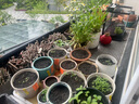 花園阻根防滲膜防水防根刺防穿刺土工膜屋頂花池綠化阻根膜防水卷 【3米寬】× 1米長(cháng) 曬單實(shí)拍圖