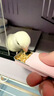 訓鳥(niǎo)食盒鸚鵡手拿訓練喂食罐虎皮牡丹玄鳳八哥獎勵訓鳥(niǎo)蟲(chóng)盒喂食器 訓鳥(niǎo)食盒兩個(gè)【隨機色】 曬單實(shí)拍圖