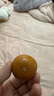 御如意天然特小手捻把玩包漿老葫蘆文玩胡草里金小葫蘆手把掛件帶龍頭 【紫皮4-6厘米】一個 曬單實拍圖