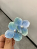 清晨的星星純欲風(fēng)雙蝴蝶蘭仿真花朵發(fā)夾女超仙發(fā)卡側(cè)邊劉海夾鴨嘴夾海邊配飾 淡藍(lán)蝴蝶蘭發(fā)夾 曬單實(shí)拍圖