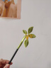 硯璽非遺古風纏花diy材料包手工制作絲絨線發(fā)簪古風胸針暖場活動禮物 桂花發(fā)簪丨非遺纏花全套材料包 曬單實拍圖
