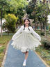 森女部落原創(chuàng)甜美風蕾絲花2025新款春季女裝 連衣裙（單件） L 曬單實拍圖