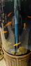老漁匠魚(yú)缸水泵超靜音循環(huán)水泵魚(yú)池過(guò)濾泵抽水泵小型養魚(yú)專(zhuān)用水泵 新品水泵2000L/H養魚(yú)專(zhuān)用 曬單實(shí)拍圖
