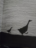 咕嘰咕嘰（3-8歲） 信誼幼兒文學(xué)獎(jiǎng) 曬單實(shí)拍圖