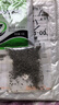 播種心情食用薄荷種子留蘭香檸檬貓薄荷室內(nèi)外陽臺(tái)多年生盆栽香草籽驅(qū)蚊 檸檬貓薄荷1000粒+肥 曬單實(shí)拍圖