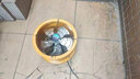 清淼風(fēng)圓筒排氣扇廚房油煙排風(fēng)扇抽風(fēng)機強力工業(yè)換氣扇大功率排煙吸煙機 16寸 純銅電機 鋁合金風(fēng)葉 曬單實(shí)拍圖