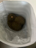 沂蒙花果山榴蓮泰國金枕鮮果樹熟榴蓮A果 凈重4.0-5.0斤個(gè)1個(gè)裝整果 曬單實(shí)拍圖