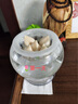 雅致郁金香種球水培植物室內(nèi)種子花卉盆栽花苗好養(yǎng) 3個(gè)球混色源頭直發(fā) 曬單實(shí)拍圖